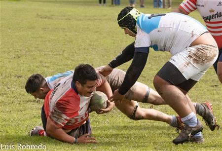 URBA 2024 - 1ra C - Areco RC (10) vs (45) Centro Naval