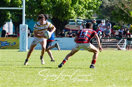 UAR - Torneo del Interior -  Tucuman Lawn Tennis Club vs Los Tordos RC