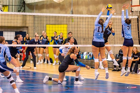 RSEQ 2024 Volleyball Fém - Université de Montréal (3) vs (2) UQAM - Reel 2