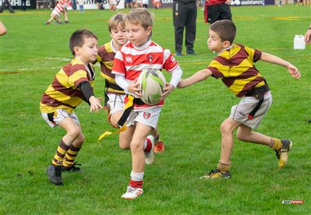 URBA 2024 - Top 12 Superior - Alumni (9) vs (22) Belgrano Athletic Club