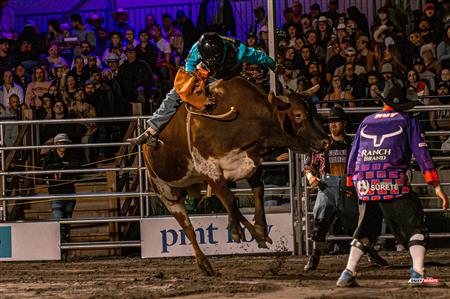2024 - Rodéo Sainte Catherine de la Jacques Cartier, par Steve Plante