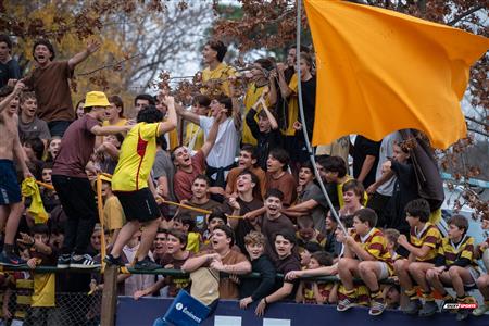 URBA 2024 - Top 12 Superior - Alumni (9) vs (22) Belgrano Athletic Club