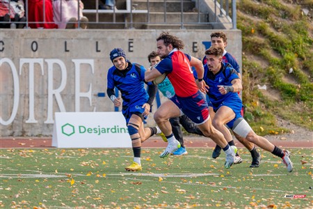 RSEQ 2024 - Rugby démi finale M - ETS (53) vs (13) UdM 