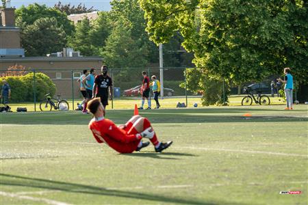 PLSQ - CS Mont-Royal Outremont (2) vs (4) AS de Beauport