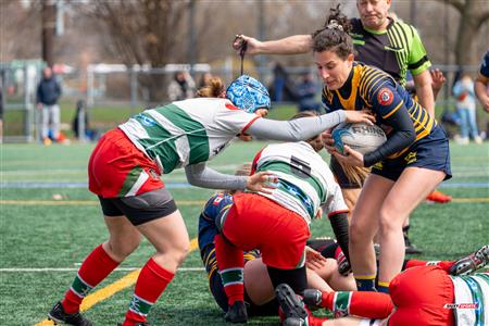 RQ 2024 - Match Pré-Saison - Rugby Club Montréal (10) vs (41) Town of Mount Royal - F