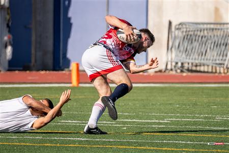 2024 McGill Alumni Rugby Reunion