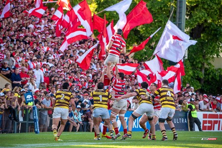 URBA 2024 - Top 12 - Final - Belgrano Athletic (17) vs (20) Asociacion Alumni