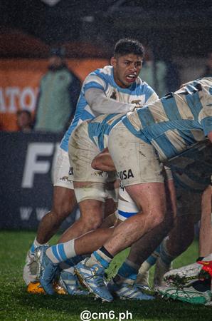 Rugby Championship 2024 - Argentina Pumas (19) vs (20) Australia Wallabies