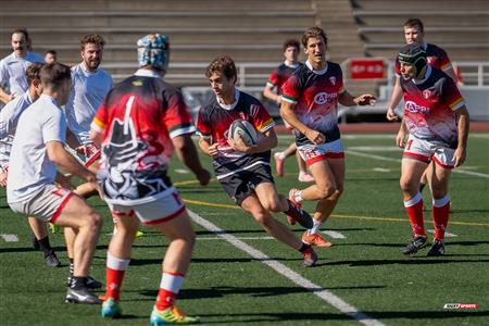 2024 McGill Alumni Rugby Reunion