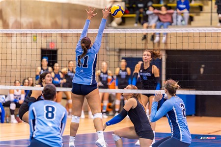 RSEQ 2024 Volleyball Fém - Université de Montréal (3) vs (2) UQAM - Reel 2